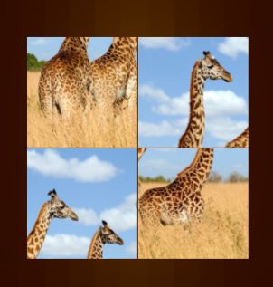 Animal Puzzle