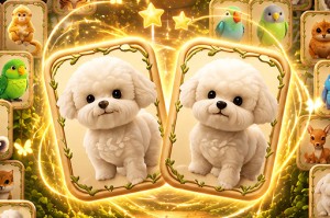 Animal Pair Card Match