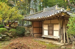 Autumn Garden - Find 100 Butterflies