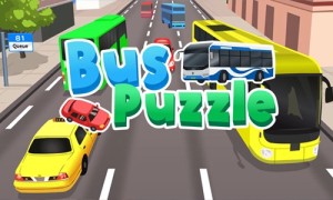 Bus Puzzle