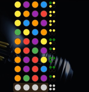 Daily Guess